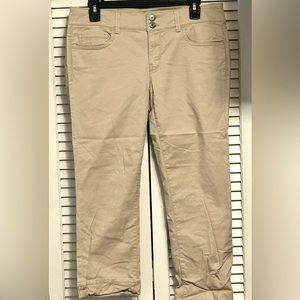 American Eagle Artist Crop Pants